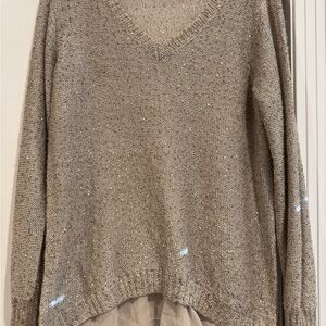 The Limited V-Neck Sequin Champagne Sweater